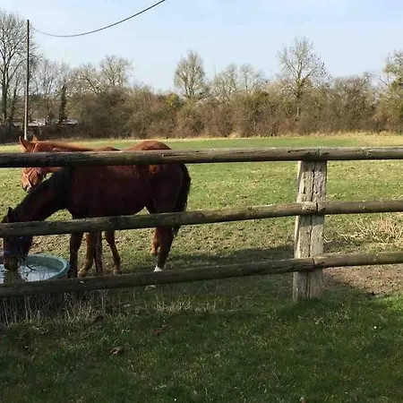 Propriete A 3 Mins Du Chateau Du Haras Du Pin Βίλα Le Pin-au-Haras