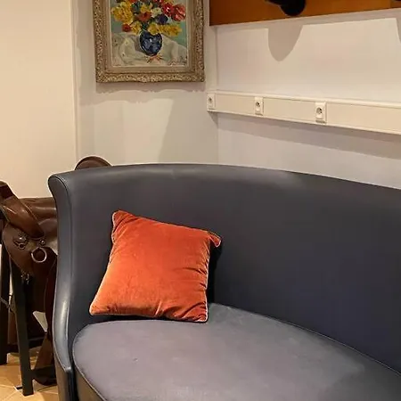 Propriete A 3 Mins Du Chateau Du Haras Du Pin Le Pin-au-Haras