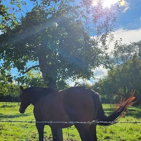 Propriete A 3 Mins Du Chateau Du Haras Du Pin