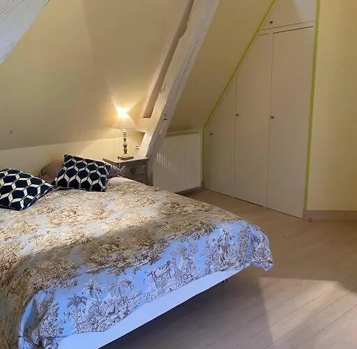 Propriete A 3 Mins Du Chateau Du Haras Du Pin * Le Pin-au-Haras