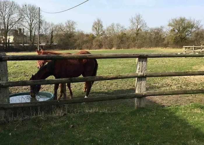 Propriete A 3 Mins Du Chateau Du Haras Du Pin Вилла Le Pin-au-Haras